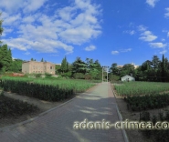 Никитский Ботанический Сад » Бал хризантем в крыму 2015 - Никитский Ботанический Сад